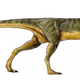 Imagen para el artículo titulado Hallan un nuevo y raro dinosaurio como el velociraptor, pero vegetariano
